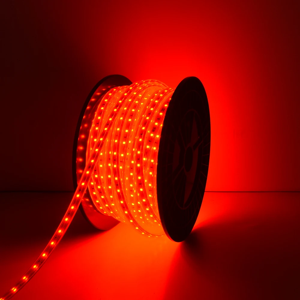 High Density 60led Smd 2835 110v 220v Ip65 Waterproof custom led strip Light with silicone waterproof and luces led light strip