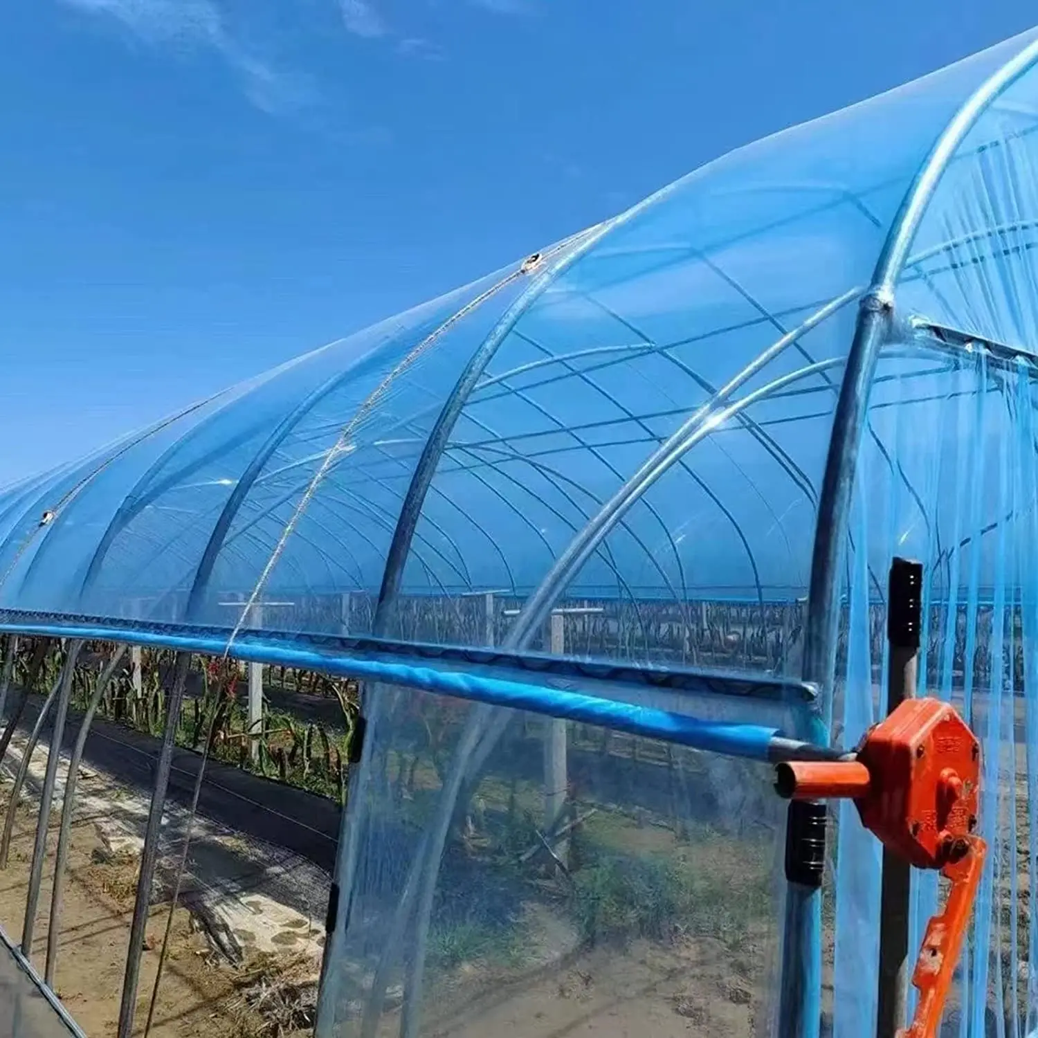 Blue Greenhouse Film Plastic Sheeting UV Resistant  Plant Cover Sheeting PP House Film for Gardening Farming Agriculture