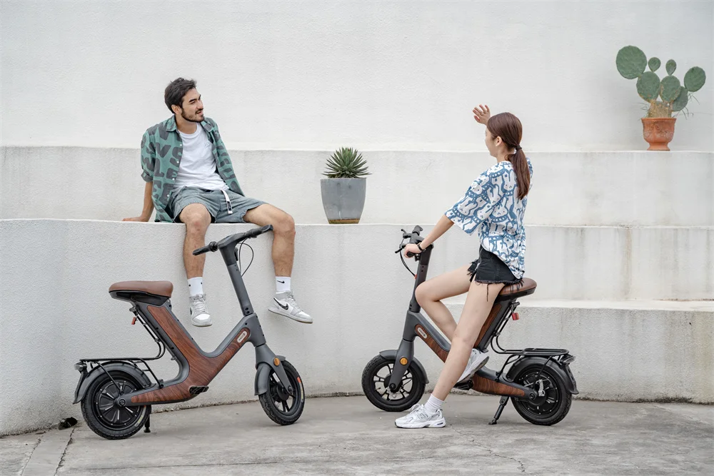 Ready to Ship Elekttische Scooter Max Speed 25KM Max Range 45KM Removable Battery Controller E Biciletta Bike