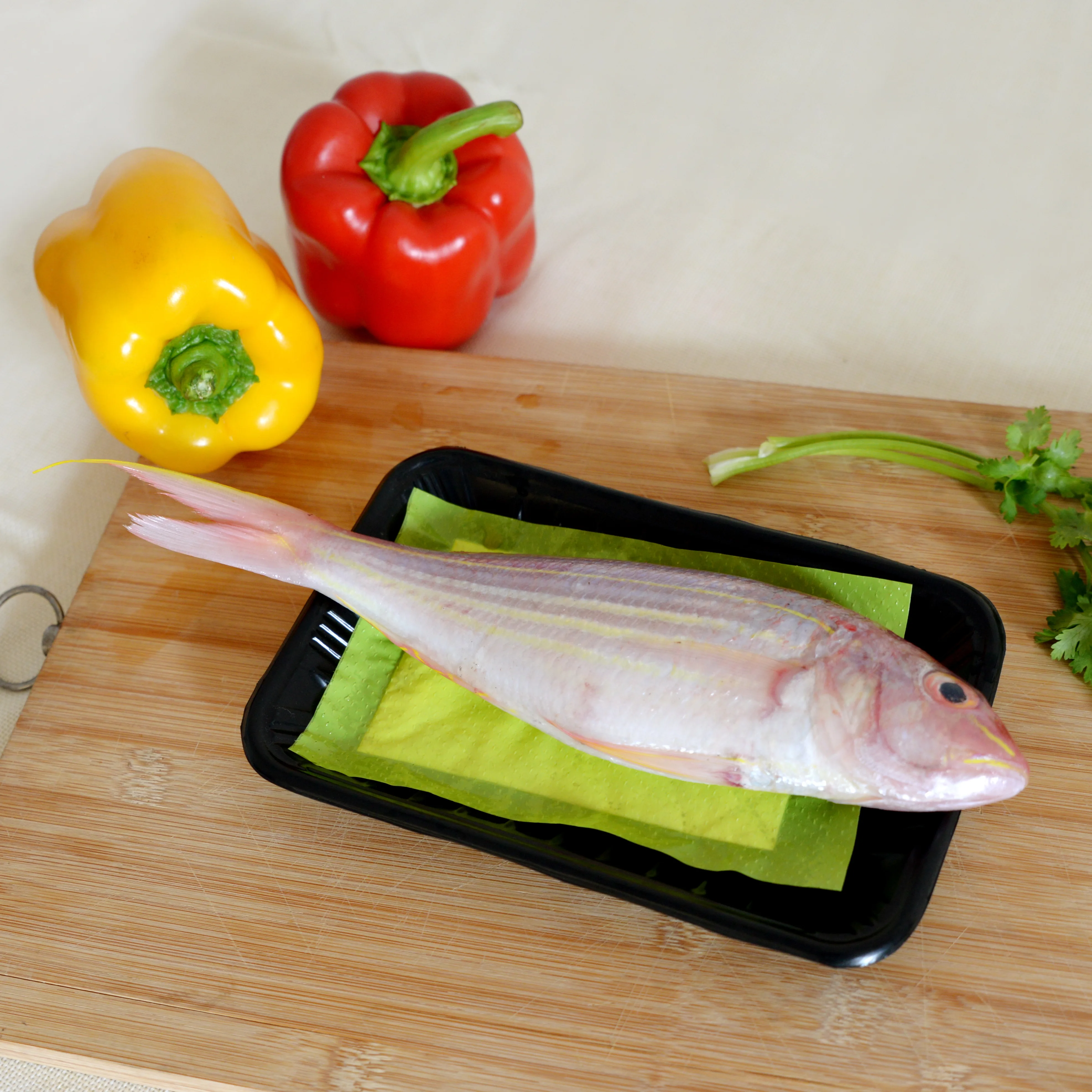 Super Absorbent Pad for