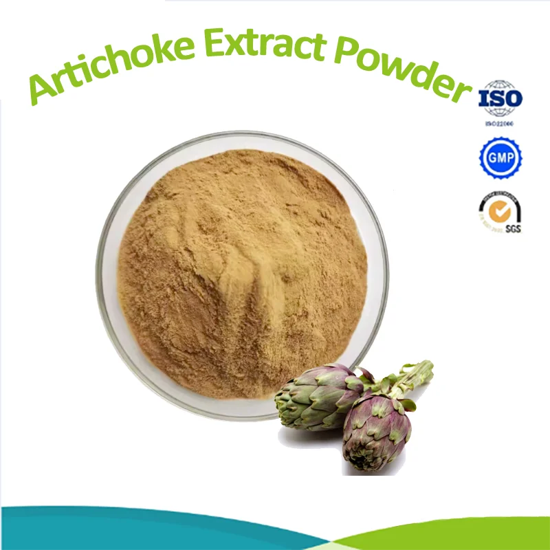 Экстракт Cynara Scolymus порошок экстракт артишока 5% хлорогеновая кислота