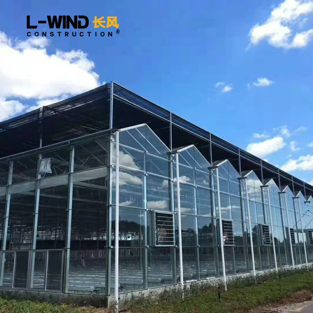 Modern Outdoor Waterproof Pergola for Farming and Plant Growth Green House Agricultural Glass Greenhouse
