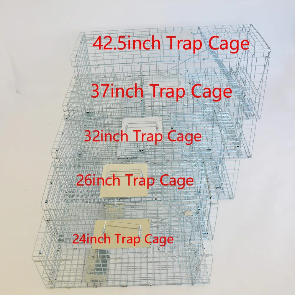 Galvanized metal foldable Live animal trap cages for rabbits cats rat squirrels raccoon