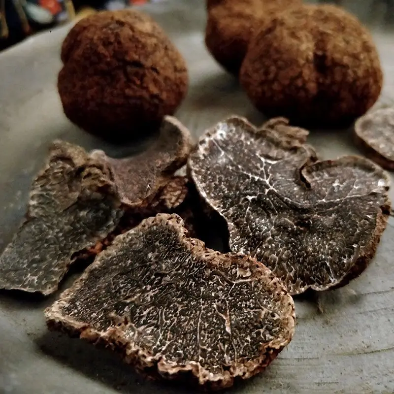 Fresh/Frozen/Dried wild truffles black truffles best price