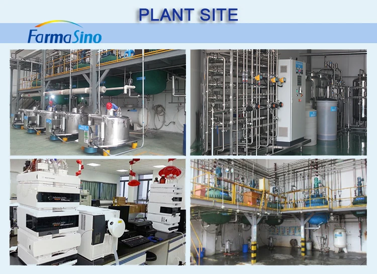 Hot Selling Natural High Purity Plant Extract Troxerutin Powder 7085-55-4