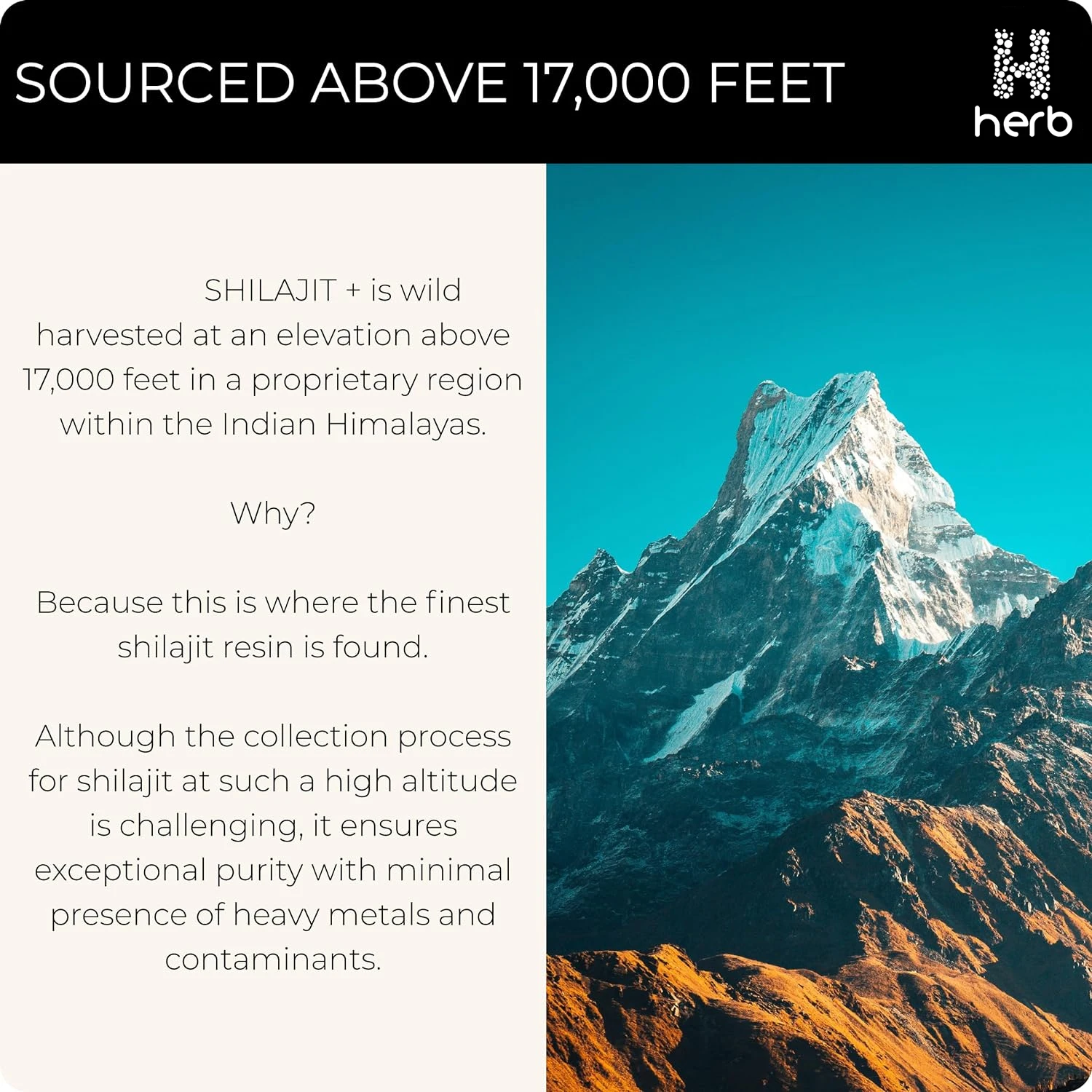 OEM Private label 100% Nature shilajit resin pure himalayan fulvic acid himalayan shilajit resin