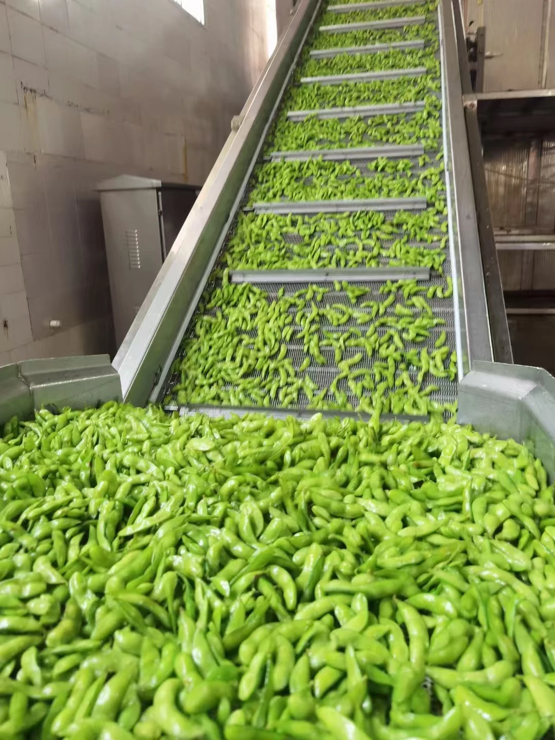 New Arrival Delicious Beans Edamame Gourmet Dietary Fibre Richness in