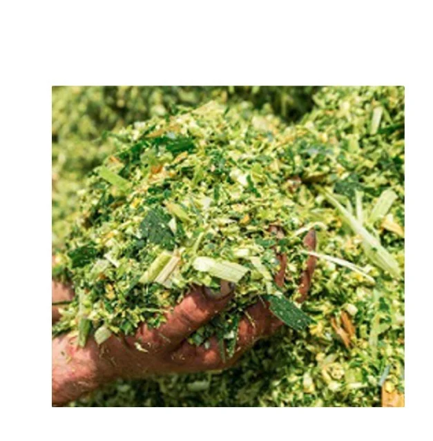 Top Quality Corn Silage From Pakistan With Cheap Prices And Bulk Quantities