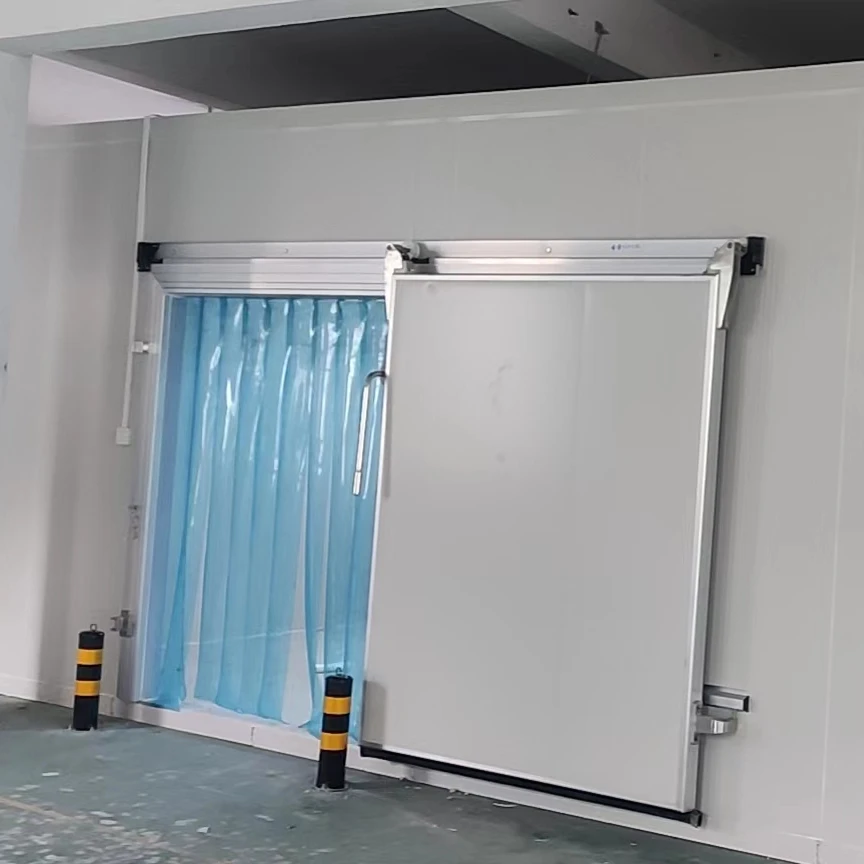 10 square meter freezer room cool room for frozen and fresh items