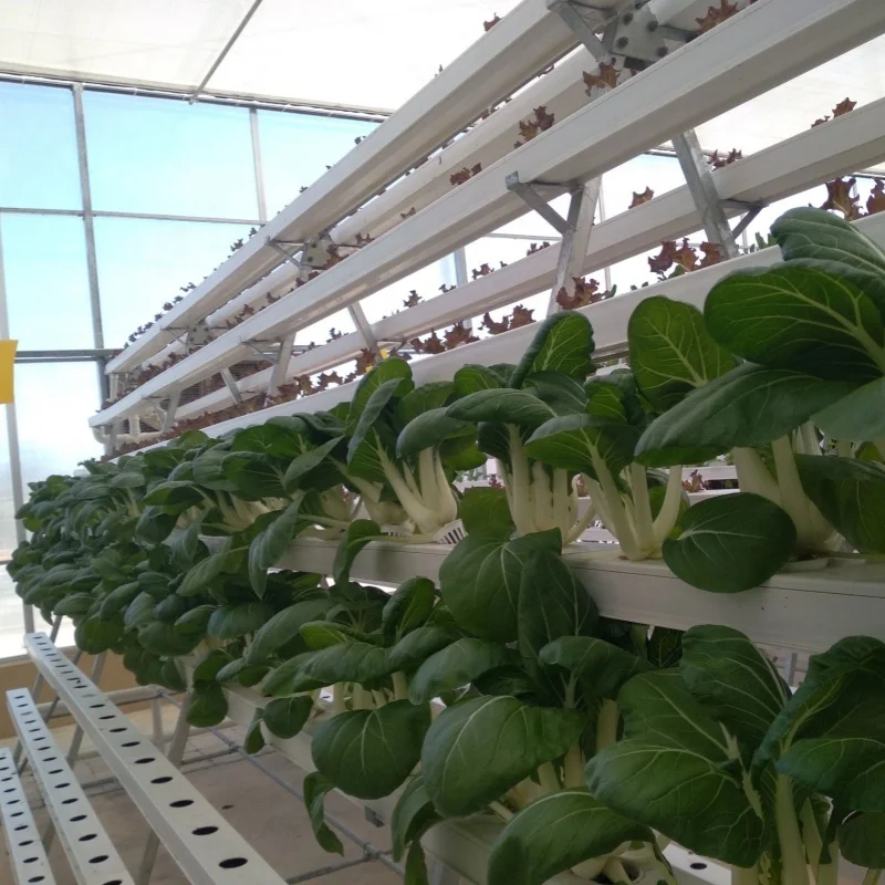 hydroponic growing systems pvc nft hydroponic gully pipe