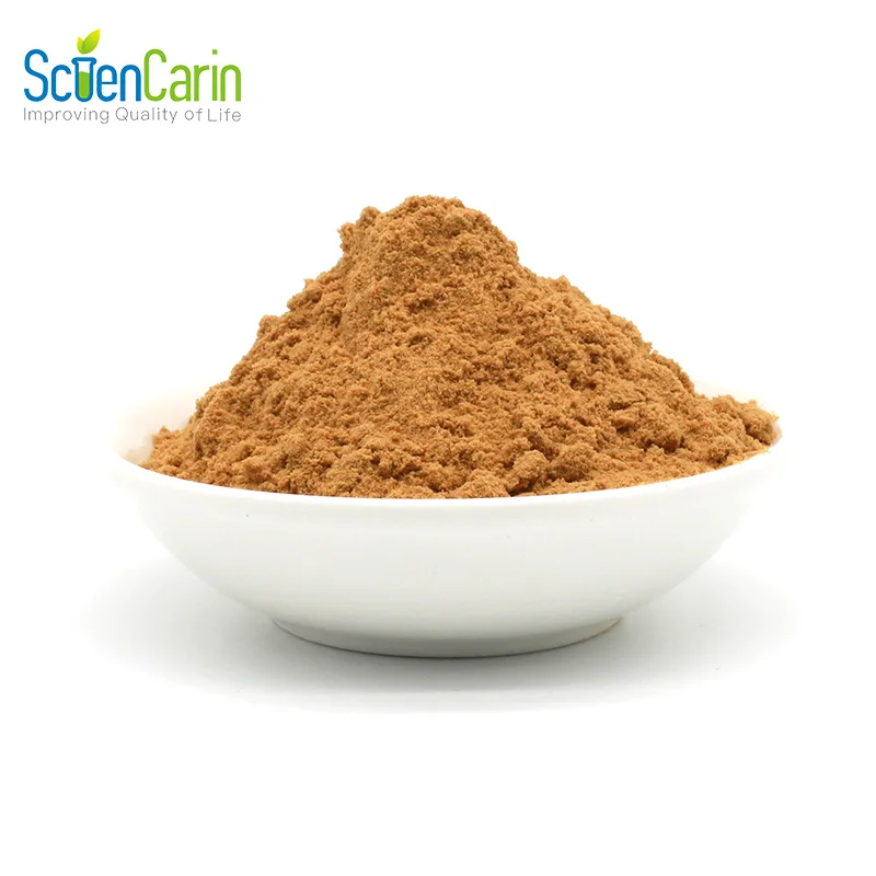Factory Price Natural Herbal Ingredient 40% 80% Milk Thistle Extract Powder Silymarin