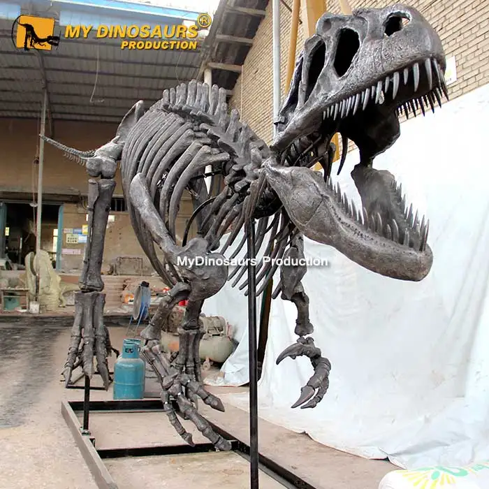 Allosaurus-skeleton-1