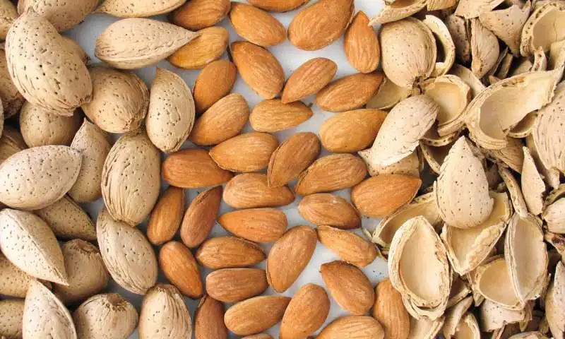 new condition CE certification tunnel industrial microwave