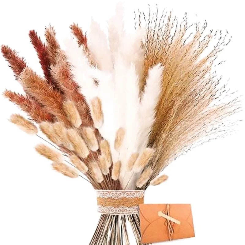 Wholesale Real Dried Flower Bouquet Pampas Grass Bunny Tails Dried Flowers Grass For Wedding Home Party Decoration