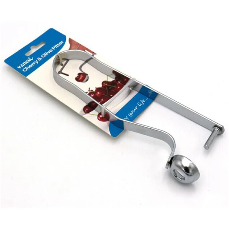 Kitchen Gadget Stainless Steel Putter Red date hawthorn Cherry Olive Plum Sheller Fruit Jujube Corer Seed Remover