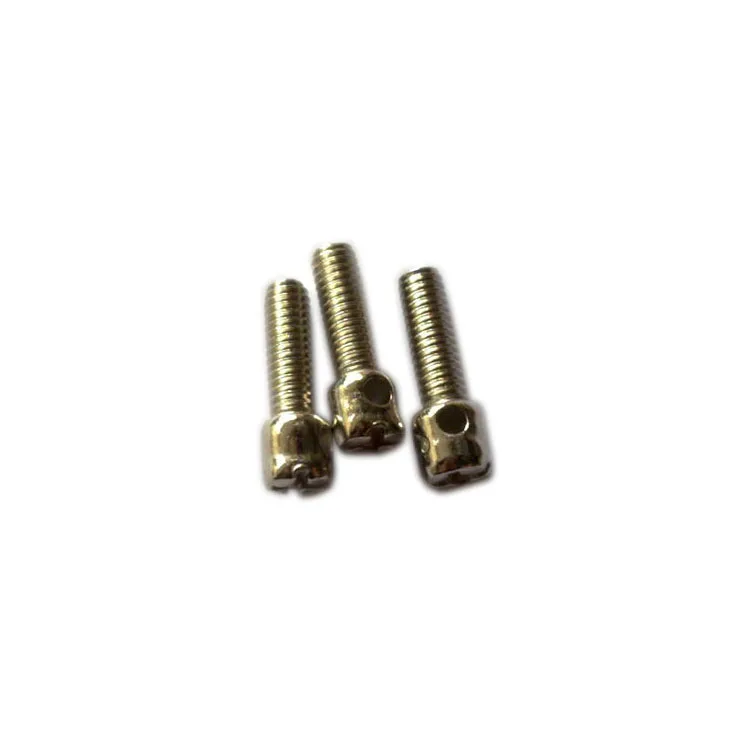 SS304 DIN404 Slotted Capstan Screw for electric meter box