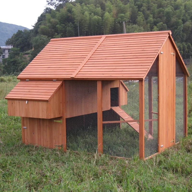 China Factory Customized Wood Outdoor Large Size Wooden Chicken Coop 20 Chickens
