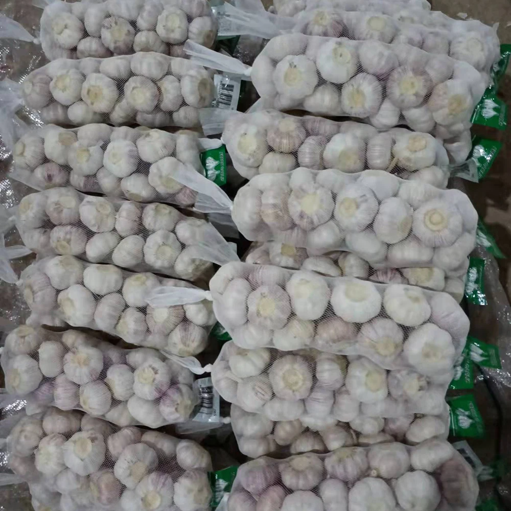 New Crop China Alho Garlic fresh garlic price