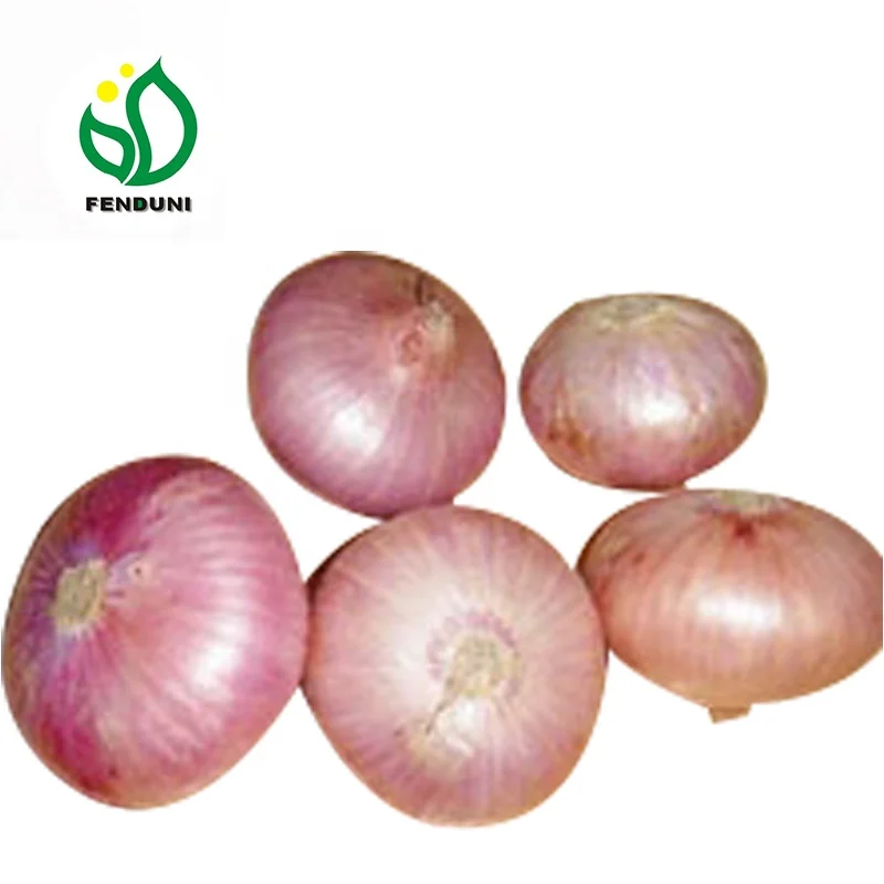 
Chinese exporters fresh market prices red onion for importers and buyers wholesale 