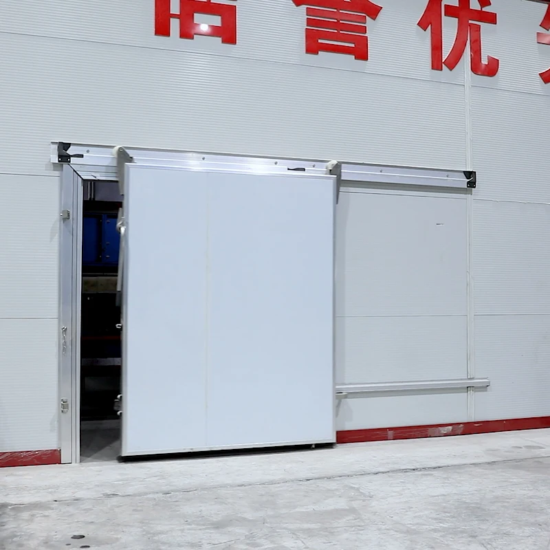 Manufacturers supply industrial cold storage translational door thermal insulation quality assurance