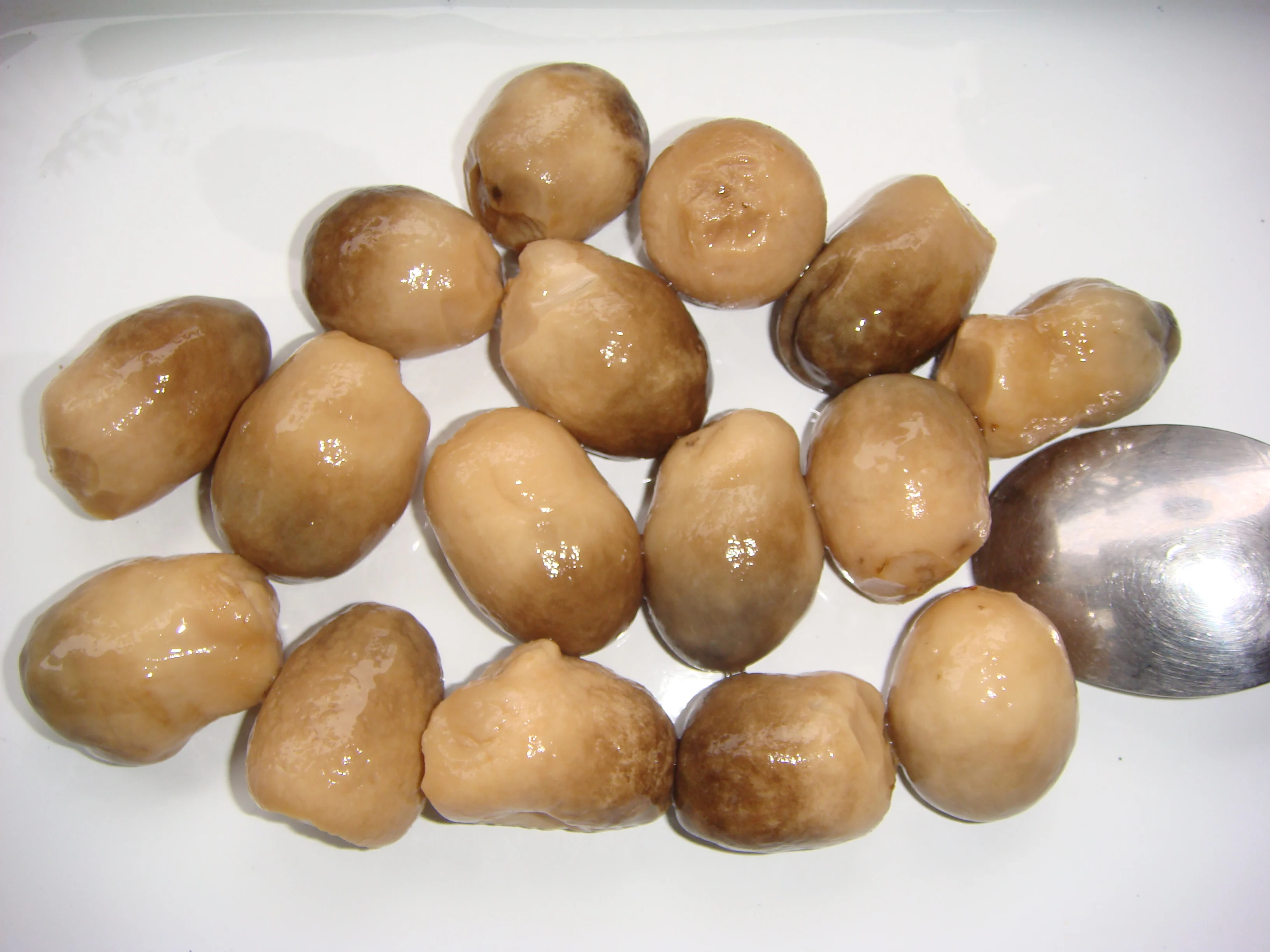 Консервированные грибы из луженых грибов, Лидер продаж, сезон соломенных грибов