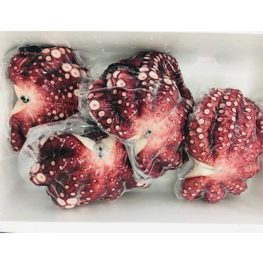 
10kg frozen steamed plump texture octopus raw materials of sushi cooking products 