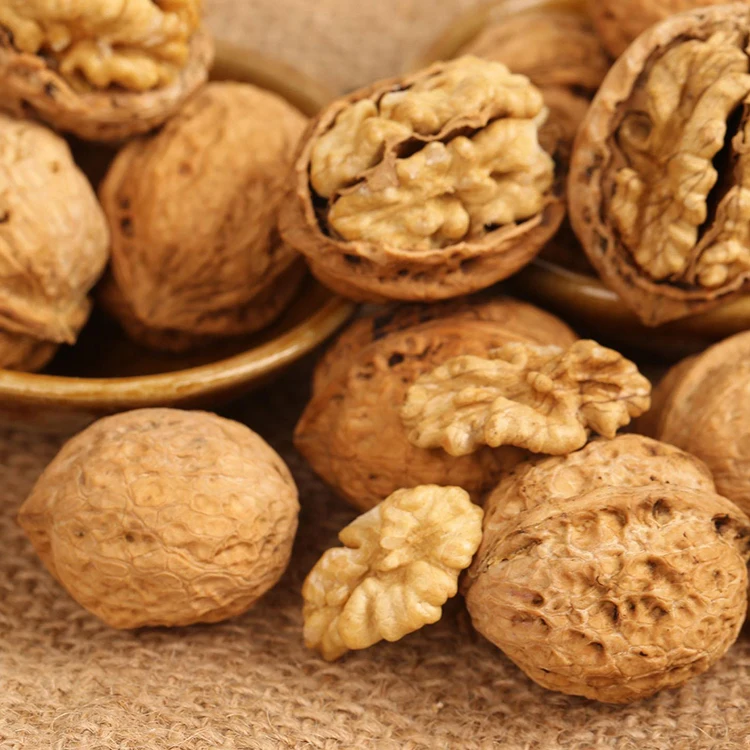 Cheap Yunnan Walnut in Shell Wholesale Walnuts