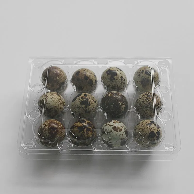 New Product Factory Price Acrylic Quail Egg Trays Plastic Packaging