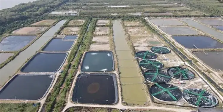 Hot Air Tarpaulin Tape Welding Machine For Seam Welding Pvc Inflatables