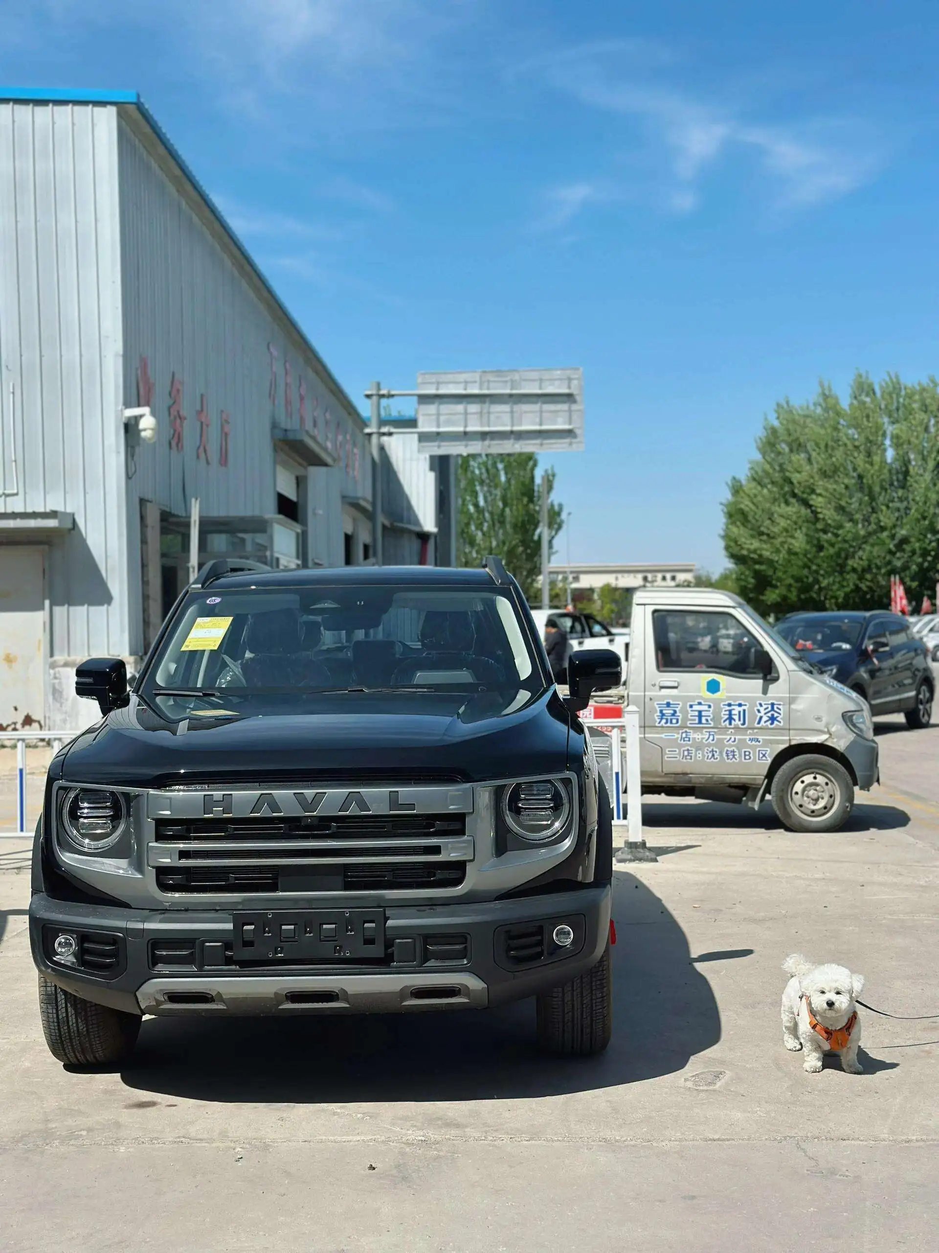 China Dargo Haval 155kw 211Ps DCT Haval Car 195km/h High Speed Small SUV Dargo