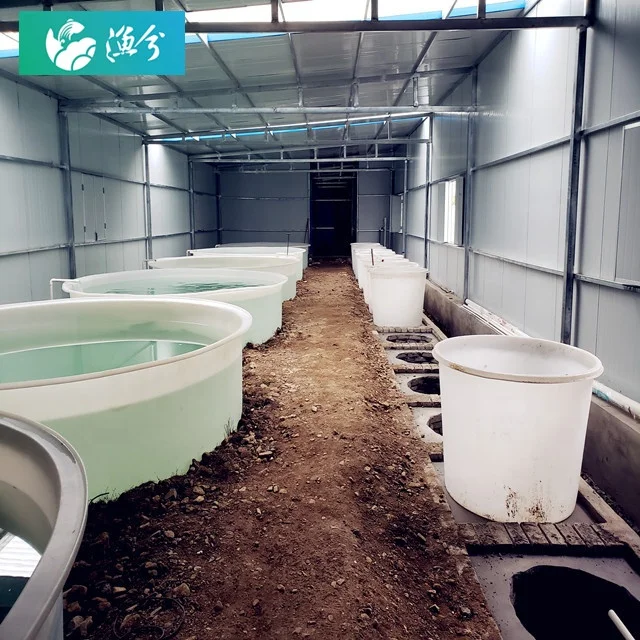 
High-density salmon pp fish pond circulating water indoor breeding system 