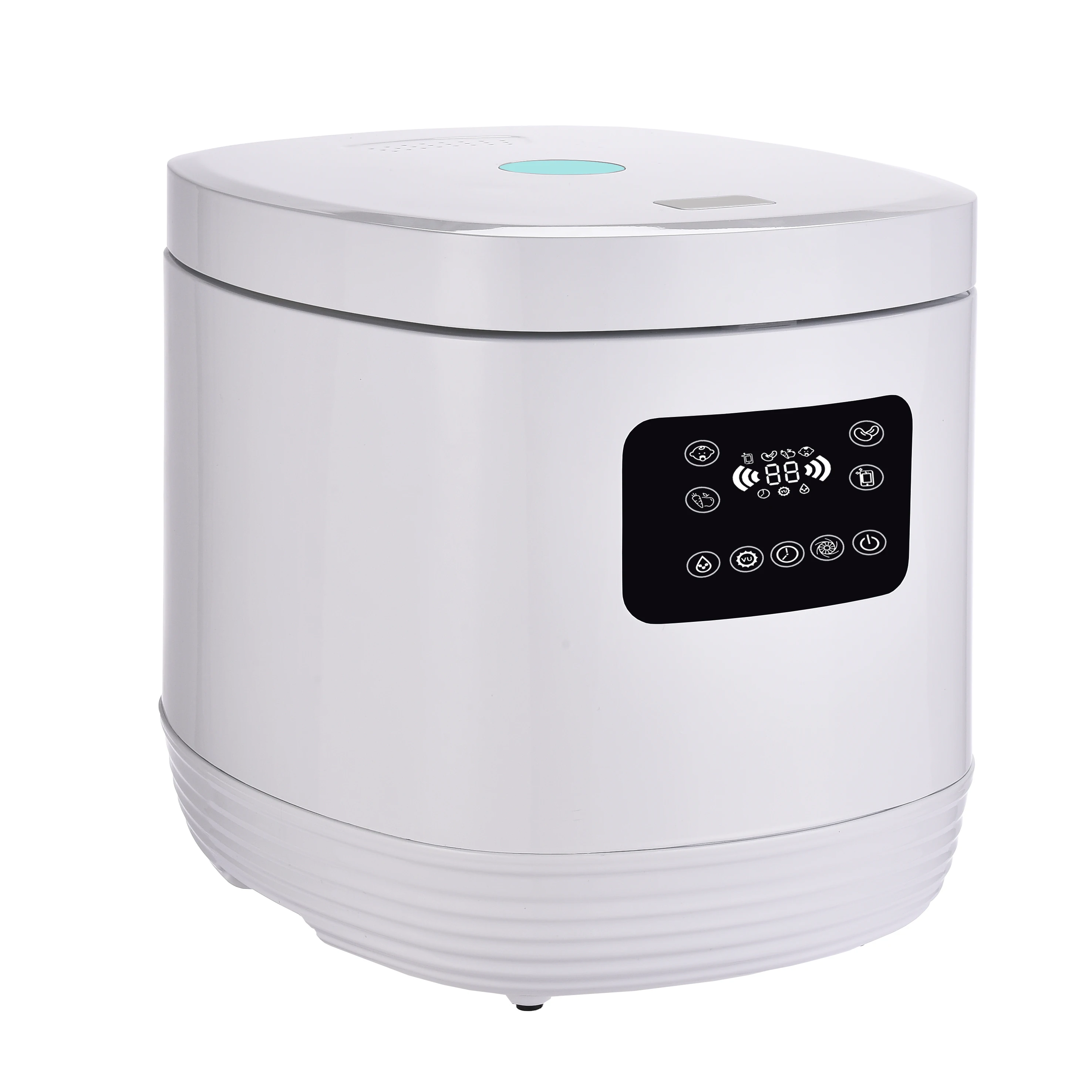 100 мг/ч O3 генератор для очистки фруктов и овощей