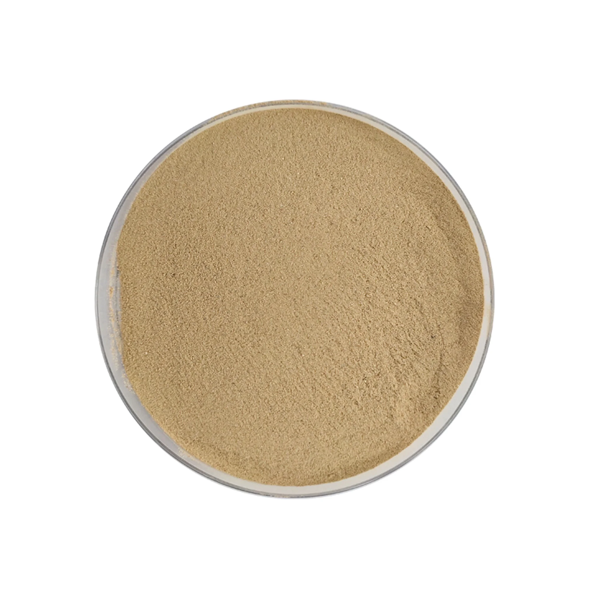 
Probiotic for Solid Waste and Waste Water Teatment / Sewage Odor Remove/Bio Cleaning Microorganism 