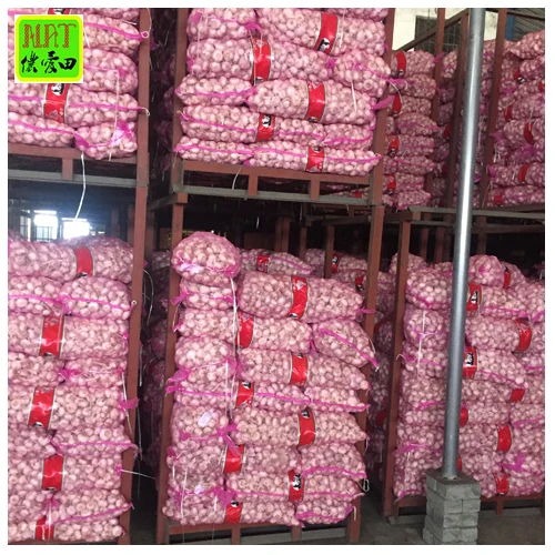 factory price fresh normal white garlic for wholesale with GLOBAL GAP Chinese fresh garlic in 10kg/20kg  Ready to ship in 7 days