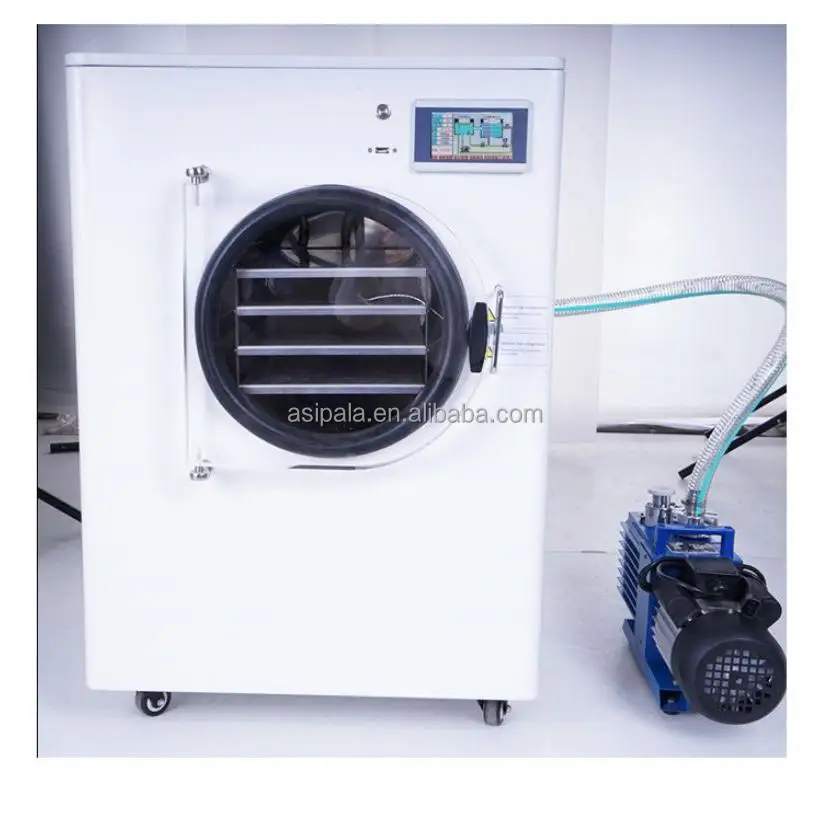 Fresh Fruit Mango Durian Freeze Drying Dried Machines