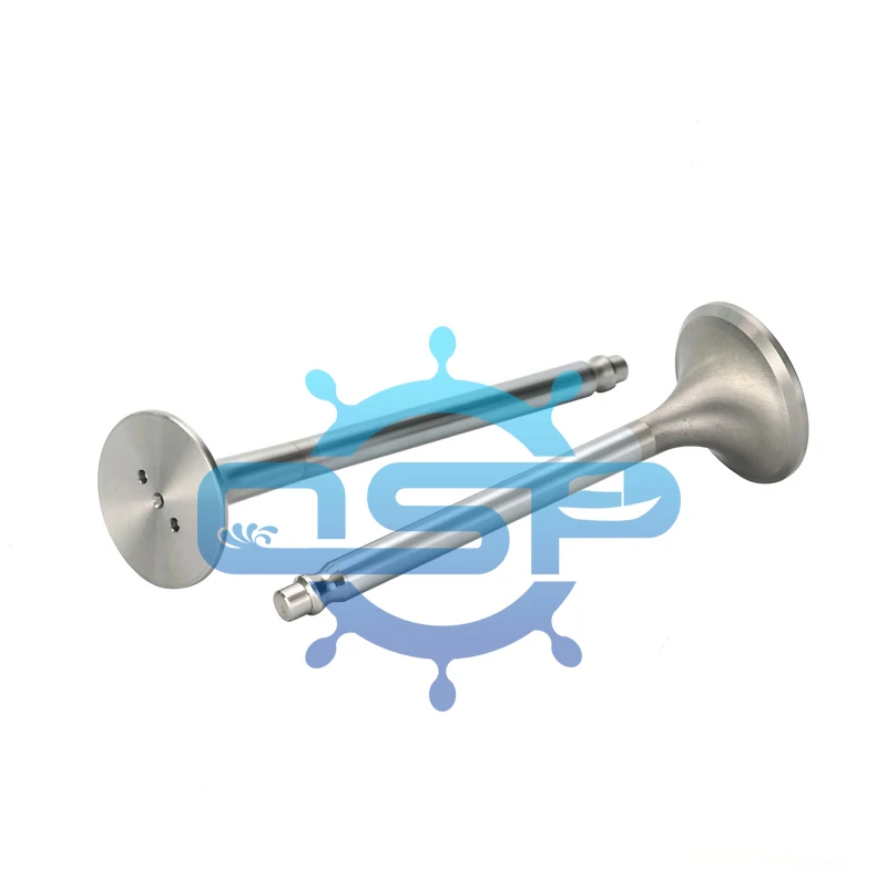 Manufacturer Russia Designed  6ch21/21 Diesel Engine Parts Valve INT  EXH Valve  0210.05.060   0210.05.070