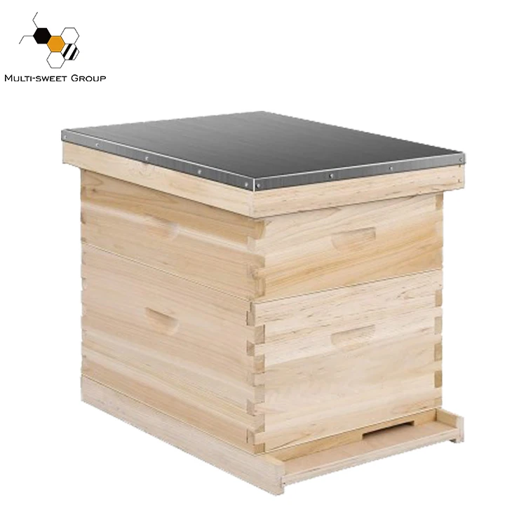 10 Frame Two Layer Bee Box Langstroth Beehive