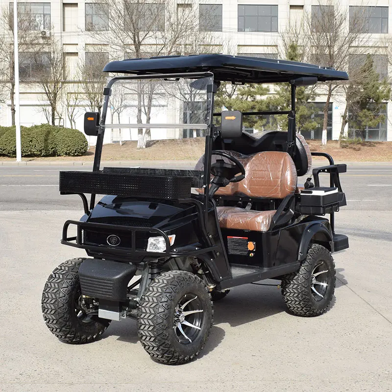 classic mini electric golf buggy for tourist use