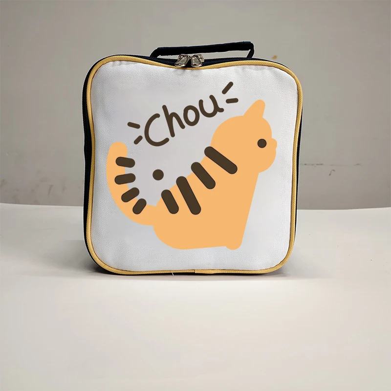 New 2024 customized lunch box set portable hand bag kids with insulated bag plastic water bottle 21*21*12cm