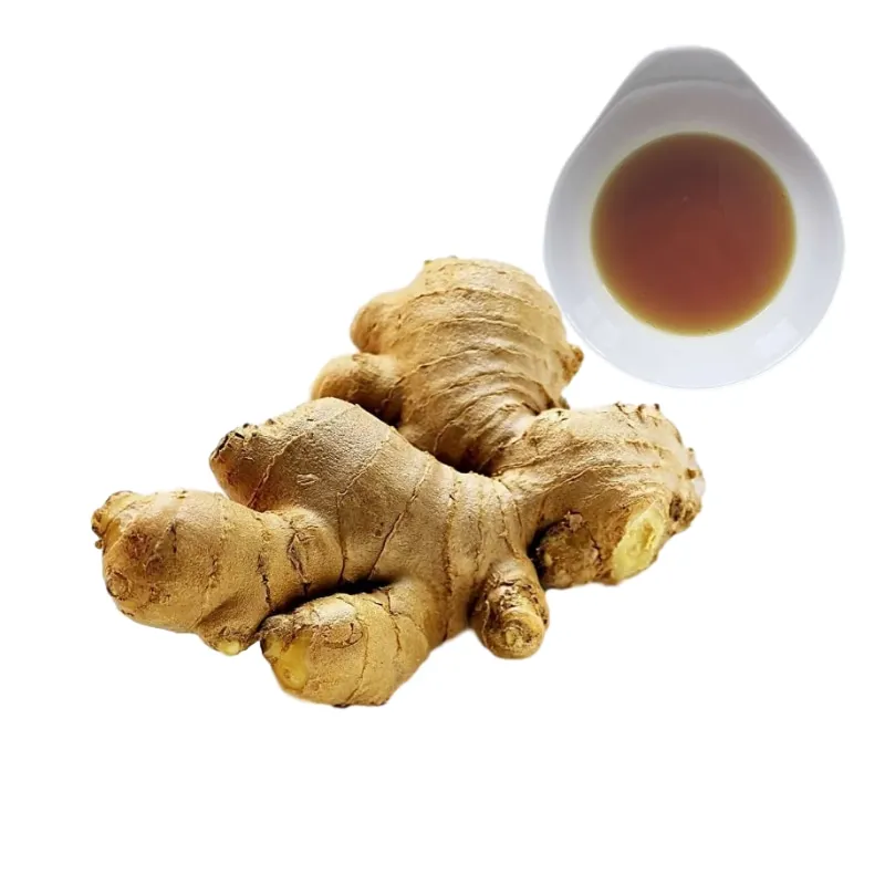 Hot Sale Essential Oil Ginger extract oil