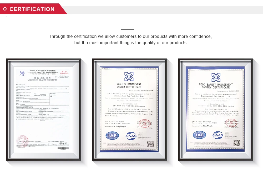 China Quality Manufacturer Factory wholesale pet food dry dog food Mr Pet full nutrition puppy dog food/Factory price