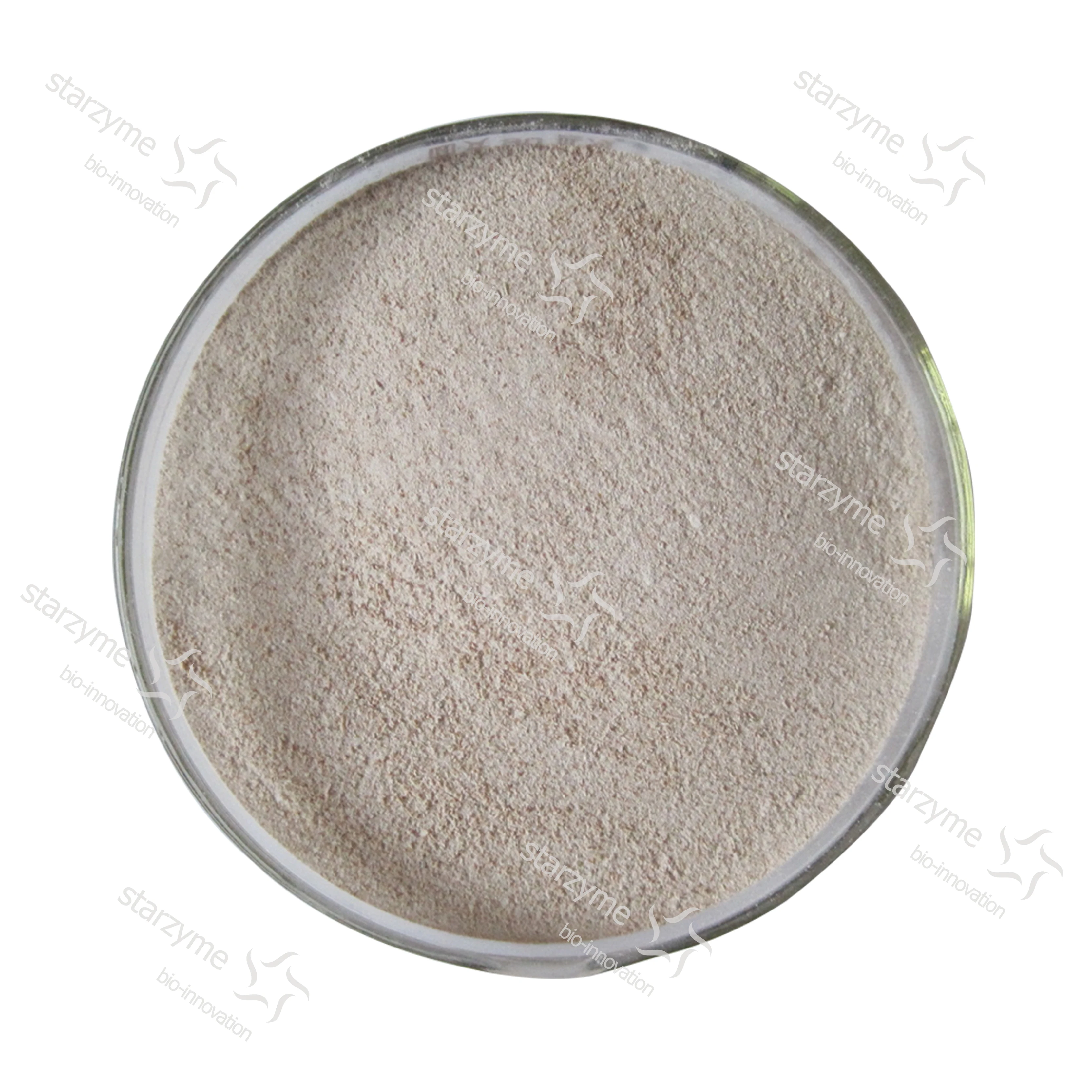 High Colony Content Bacillus Subtilis Feed Grade Powder Probiotics