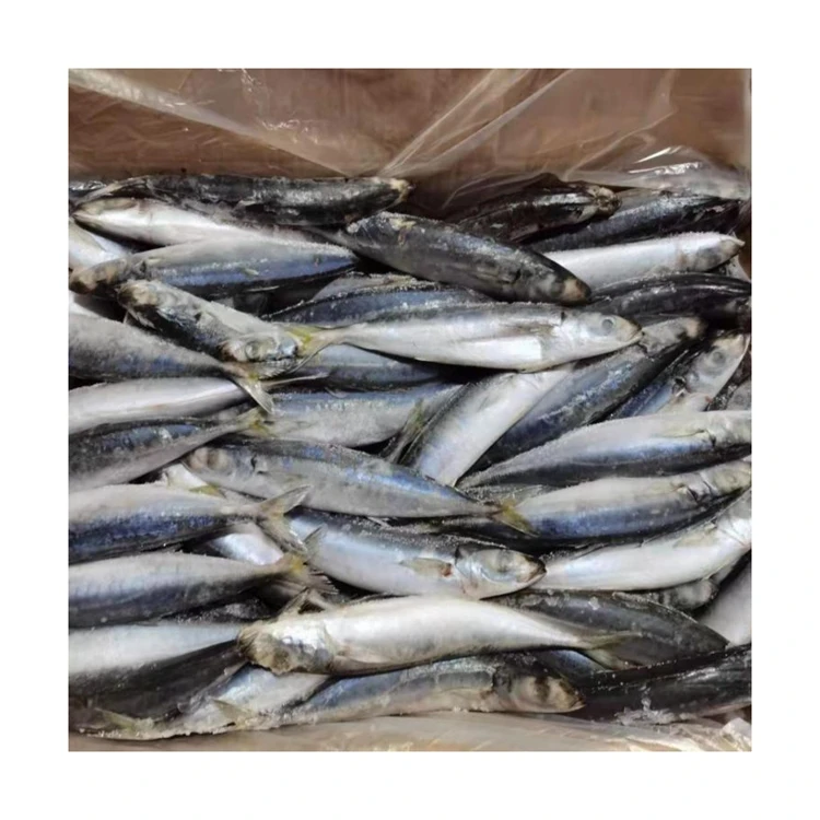 
Promotional High Quality Frozen Round Scad Mackerel Fish Decapterus Maruadsi Whole Round 