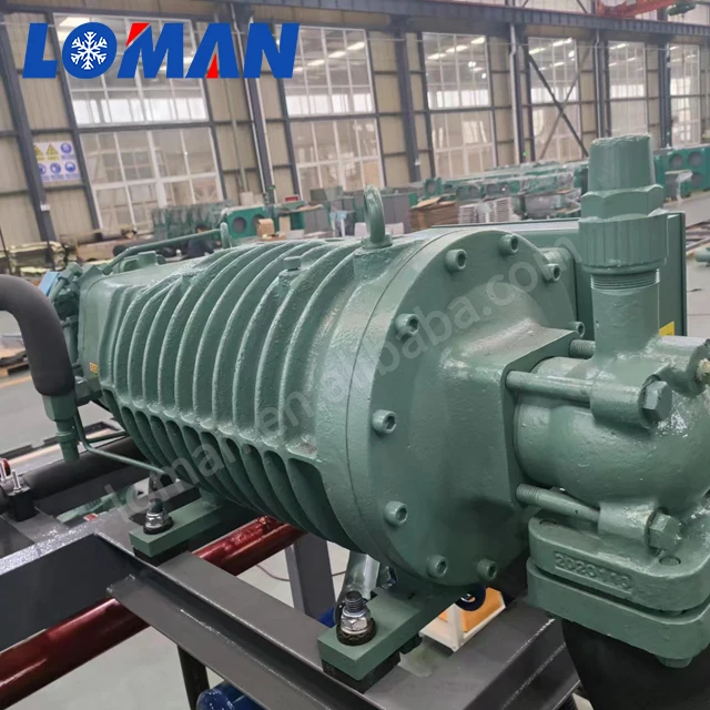 Germany Original semi hermetic refrigeration 75hp screw compressor Bit-zer HSN7471-75 china price