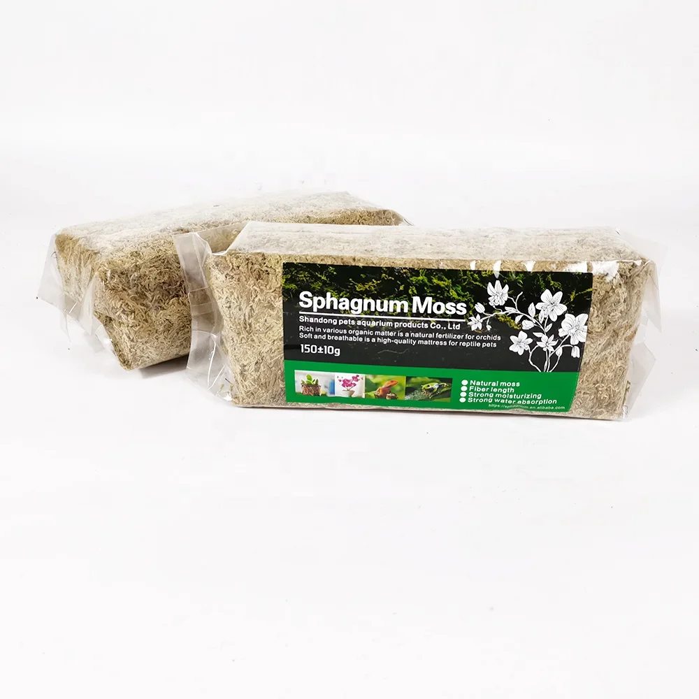 Сухой торфяной мох Sphagnum в домашней упаковке 150 г