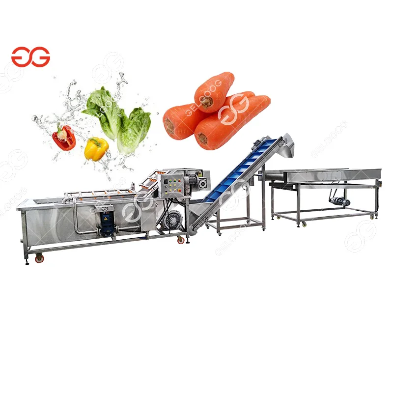  Gelgoog 500Kg/H Vegetable Washer Citrus Orange Sea Buckthorn Date Palm Spray Conveyor Milk fruit Washing