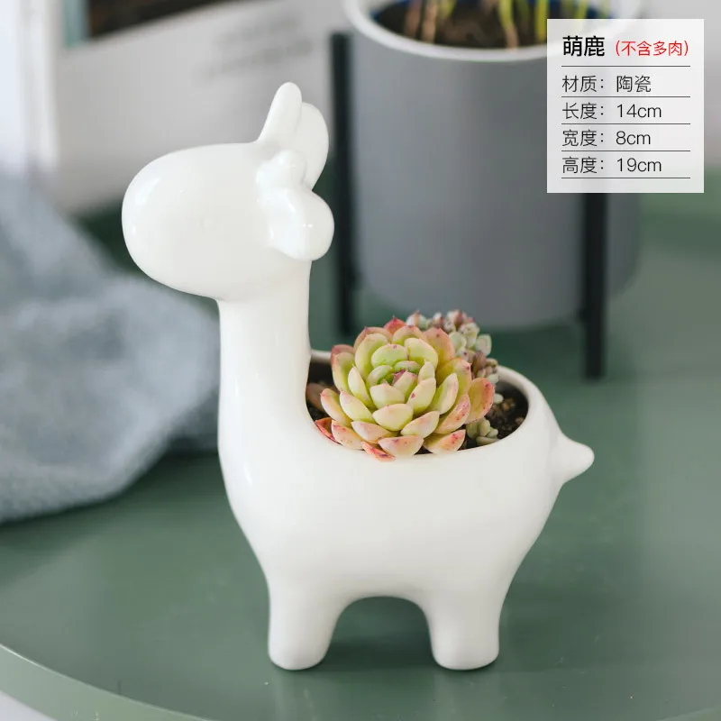 
APHACATOP White Animal Succulent Cactus Plant Flower Pot for Home Decoration SUCCULENT POTS 