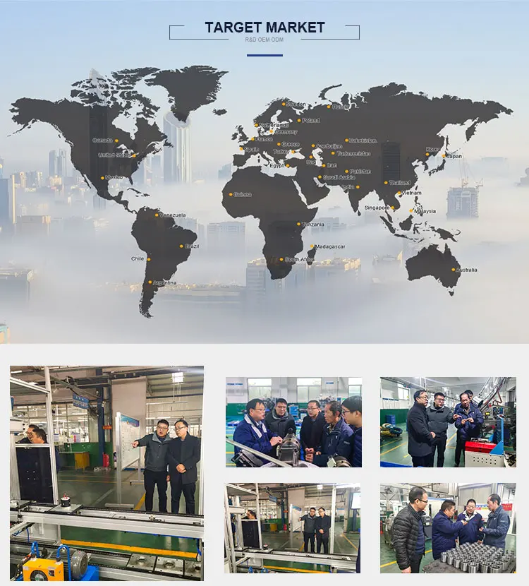 High Quality Long Duration Time Stainless Steel Extension Springs