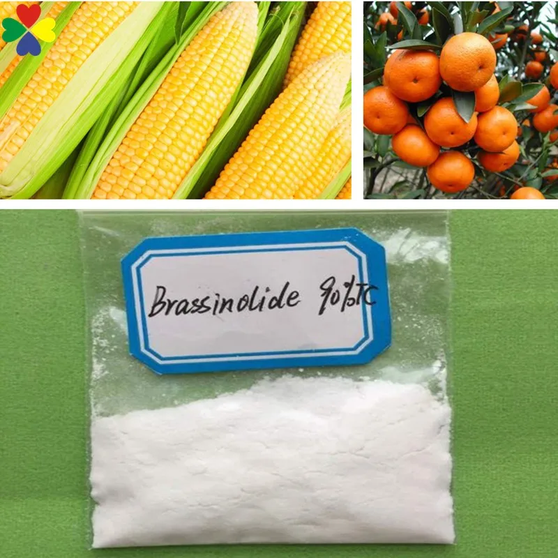 
28-homo brassinolide 0.1%sp steroid powder , natural brassinolide cas 72962-43-7 