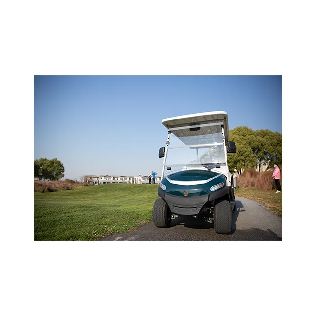 
electric golf cart golf buggy with Li battery and free solar system hot sale in China less wall-charging 